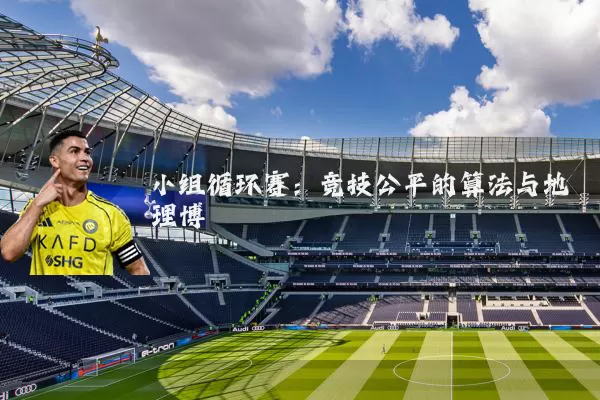 小组循环赛：竞技公平的算法与地理博弈